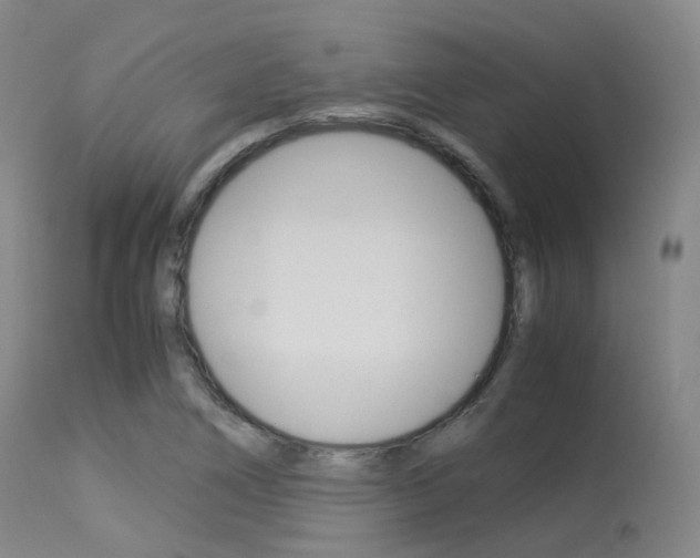 X0000113541266200909181015