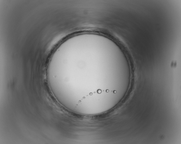 X0000113541267200909181015