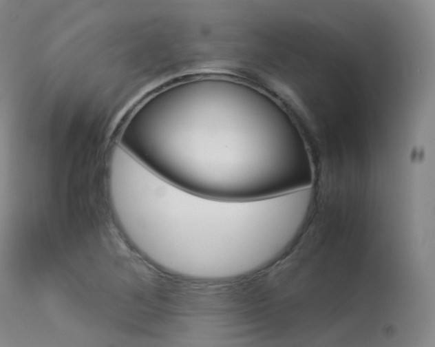 X0000113541268200909181015