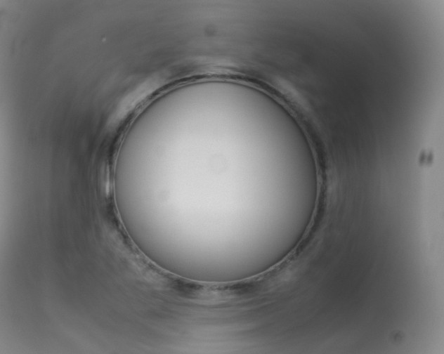 X0000113541269200909181015