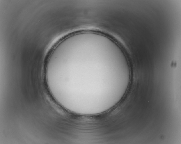 X0000113541270200909181015