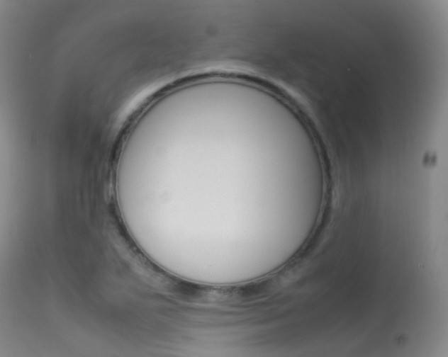 X0000113541271200909181015