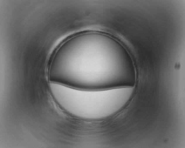 X0000113541272200909181015