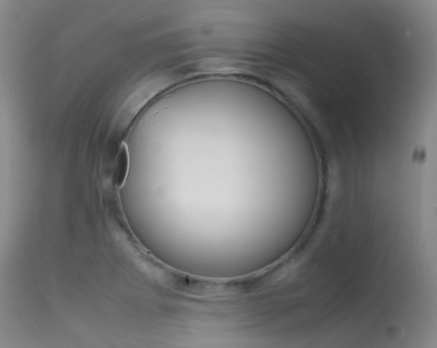 X0000113541273200909181015
