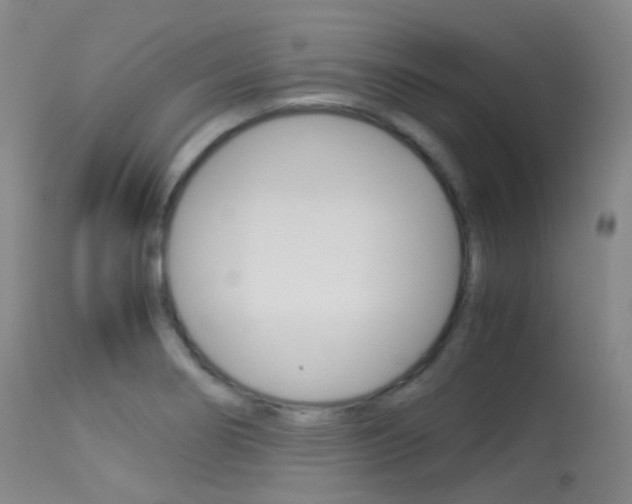 X0000113541274200909181015