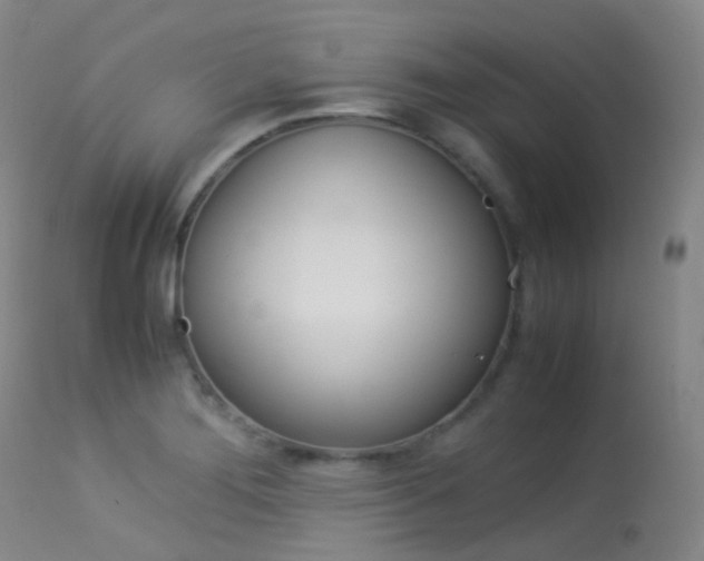 X0000113541276200909181015