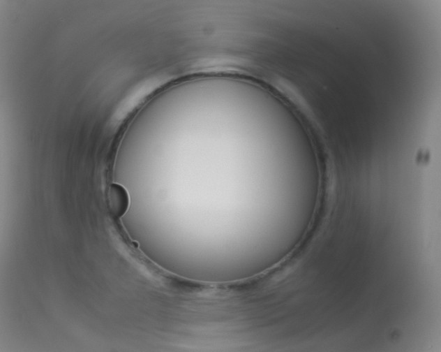 X0000113541277200909181015