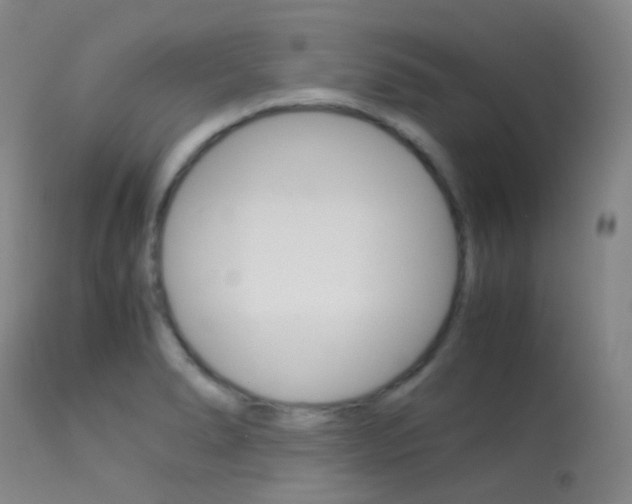 X0000113541278200909181015