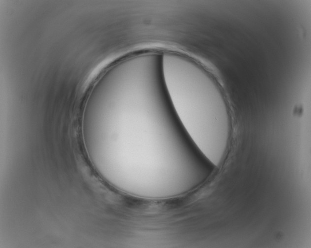 X0000113541279200909181015