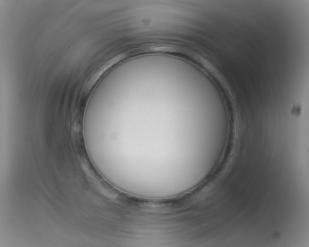 X0000113541281200909181015