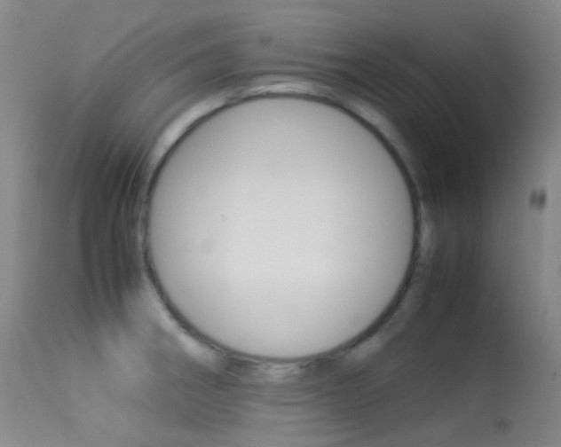 X0000113541282200909181015