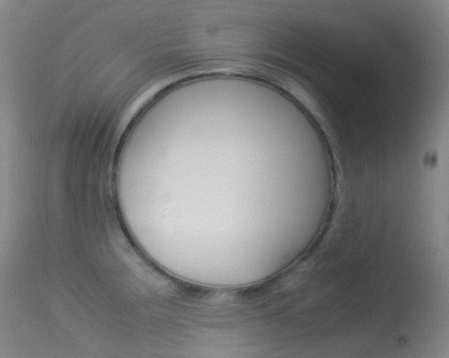 X0000113541283200909181015