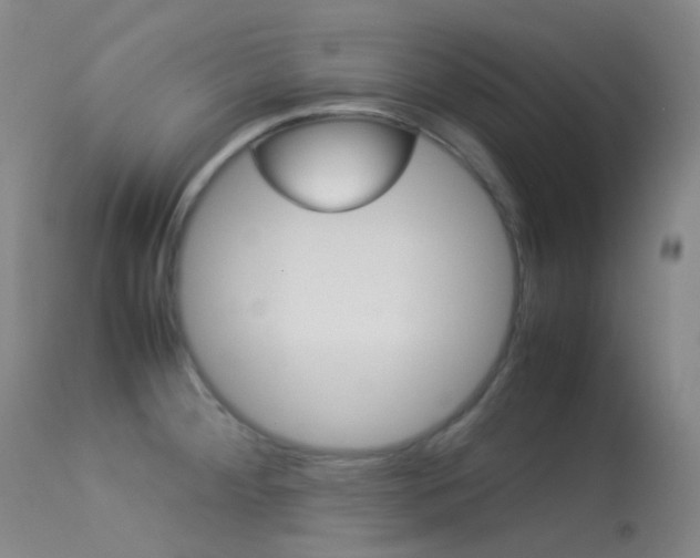X0000113541284200909181015
