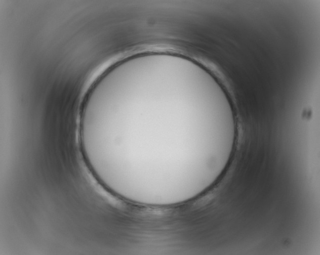 X0000113541286200909181015