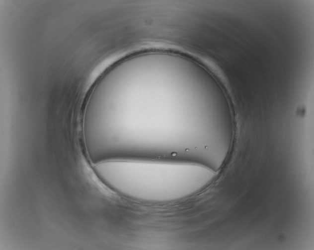 X0000113541287200909181015