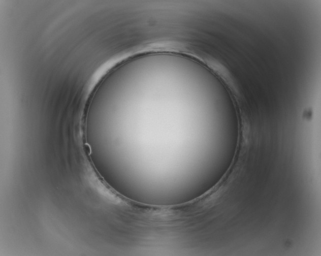 X0000113541288200909181015