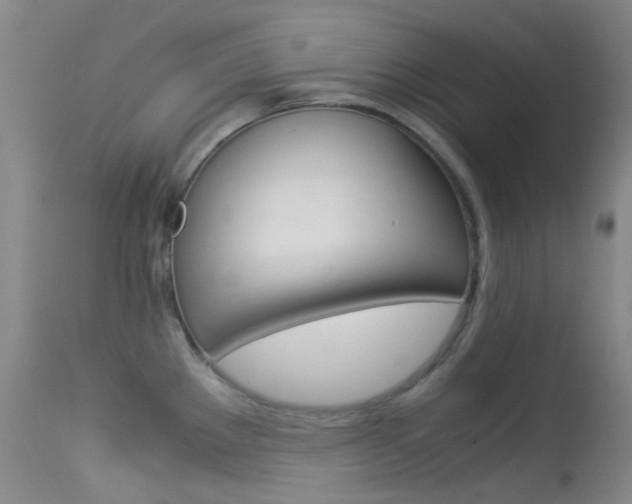 X0000113541289200909181015