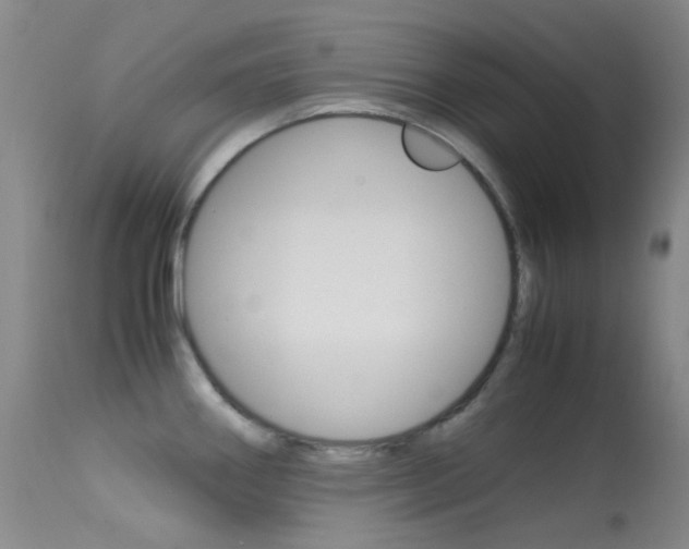 X0000113541290200909181015