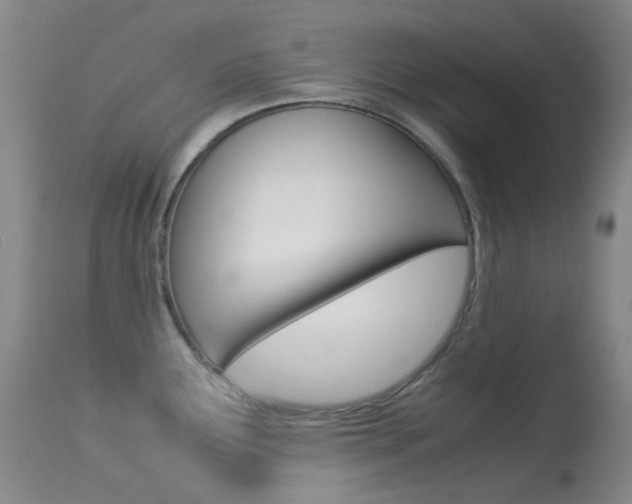 X0000113541291200909181015