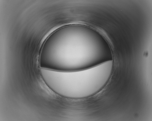 X0000113541292200909181015