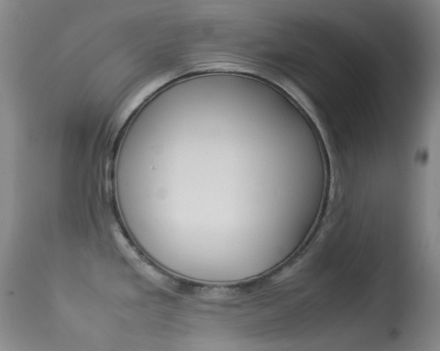 X0000113541293200909181014