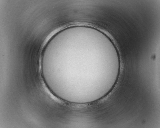 X0000113541294200909181014