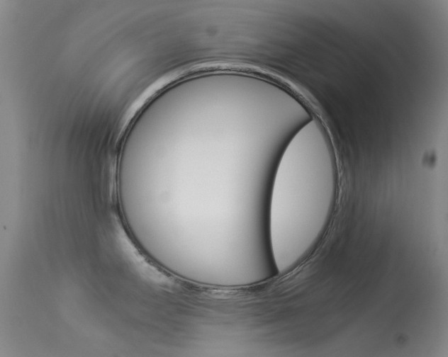 X0000113541295200909181014