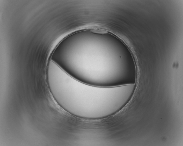 X0000113541296200909181014