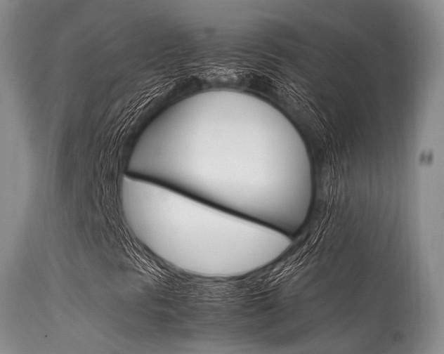 X0000113541297200909181013