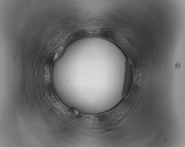 X0000113541298200909181013