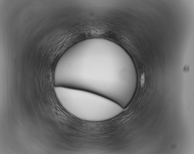 X0000113541299200909181013