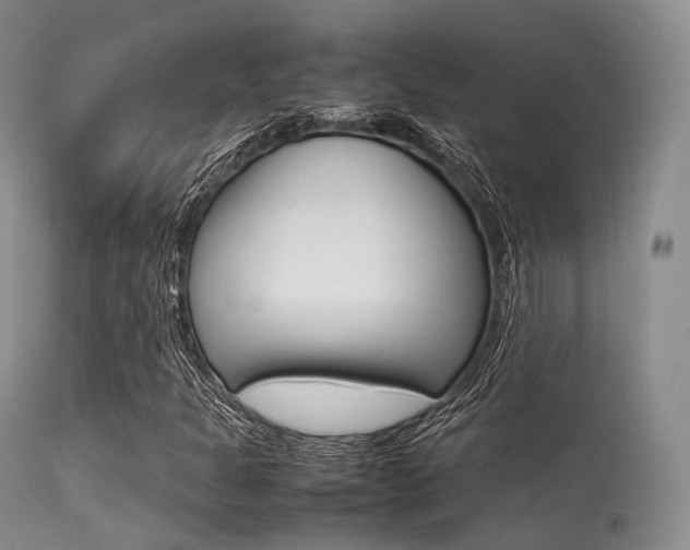X0000113541301200909181014