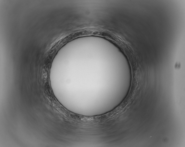 X0000113541302200909181014