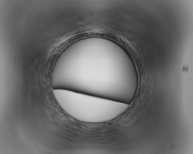 X0000113541303200909181014