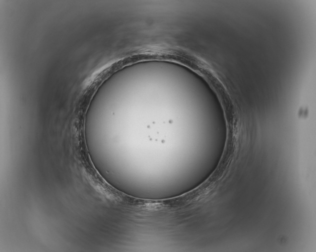X0000113541304200909181014
