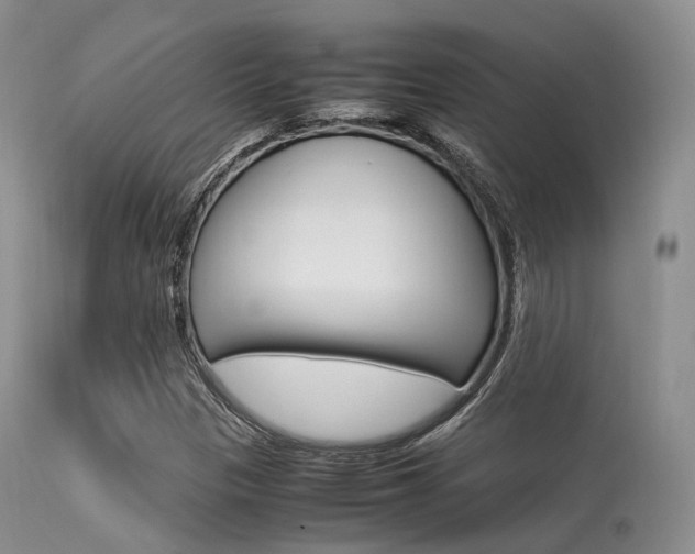 X0000113541305200909181014