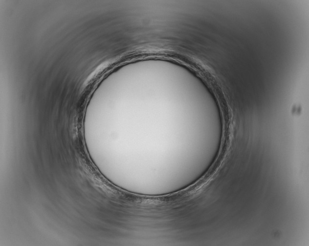 X0000113541306200909181014