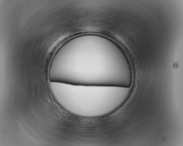X0000113541307200909181014