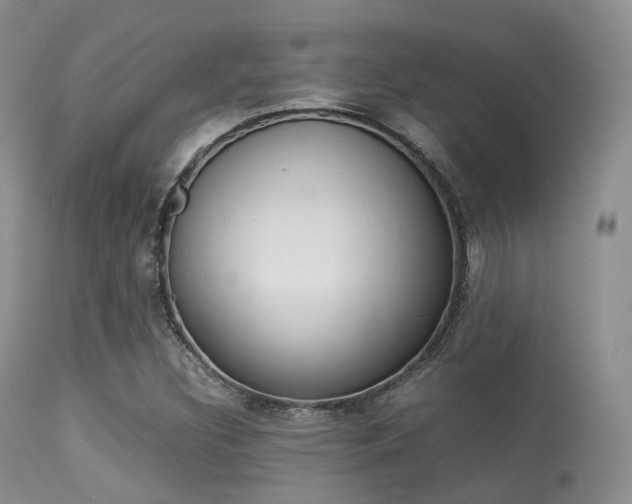 X0000113541308200909181014