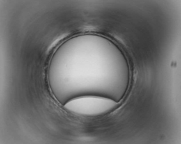 X0000113541309200909181014