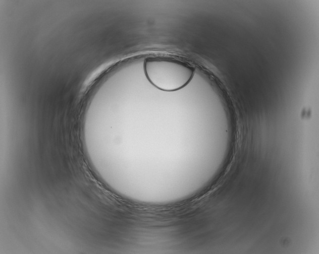 X0000113541310200909181014
