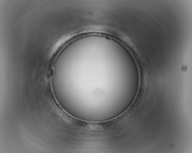 X0000113541312200909181014