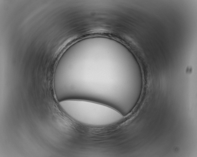 X0000113541313200909181014