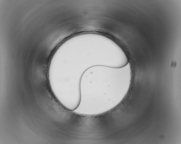 X0000113541314200909181014