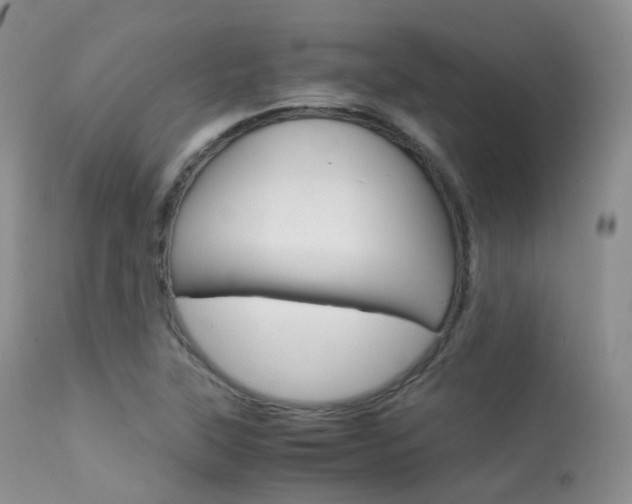 X0000113541315200909181014