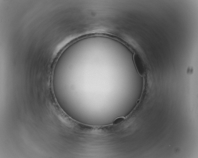 X0000113541316200909181014