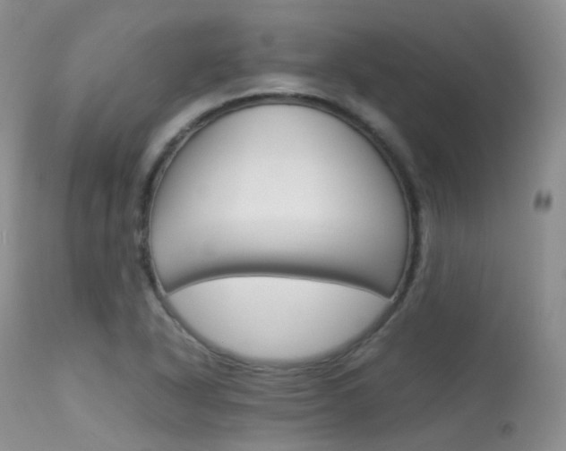 X0000113541318200909181014