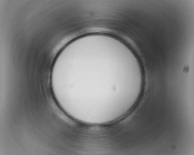 X0000113541322200909181014