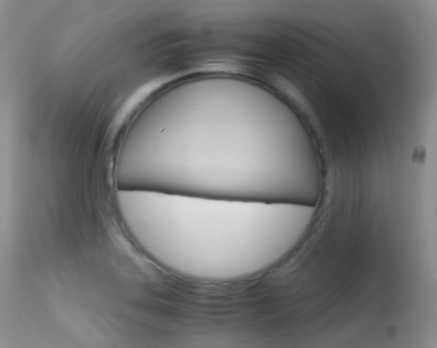 X0000113541323200909181014