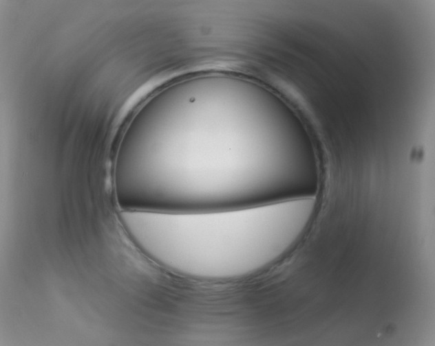 X0000113541324200909181014
